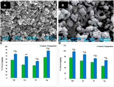 Biofabrication of nanoparticles: sources, synthesis, and biomedical applications